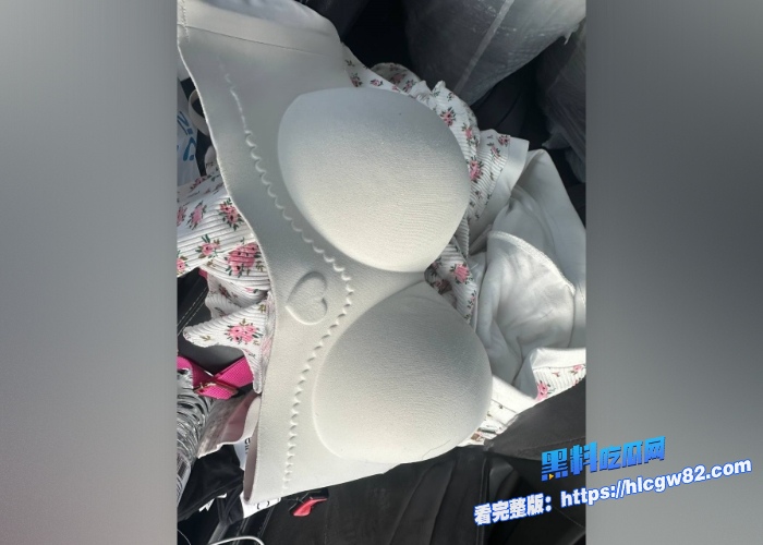 广东高档小区包租公的特殊癖好乘着女租客不在家疯狂潜入欣赏女租客的性感内衣内裤竟然还玩起了打胶真的好刺激啊 图39