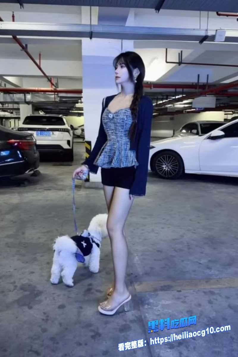极品反差婊COS艾莉丝3