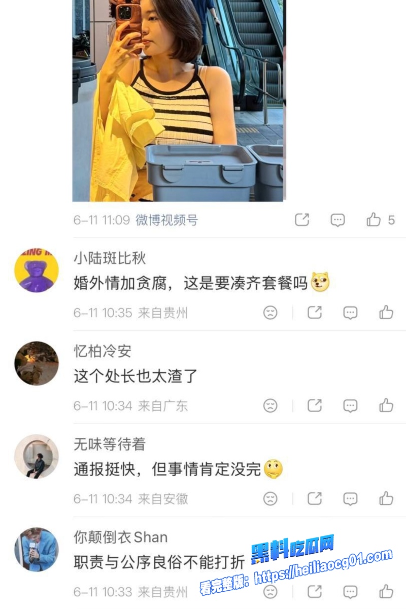 小三专业户偷情引爆贪腐窝11 小三专业户偷情引爆贪腐窝11