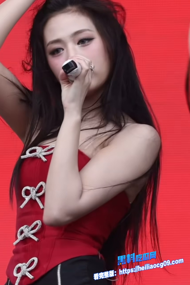 顶流明星郑雅贤9