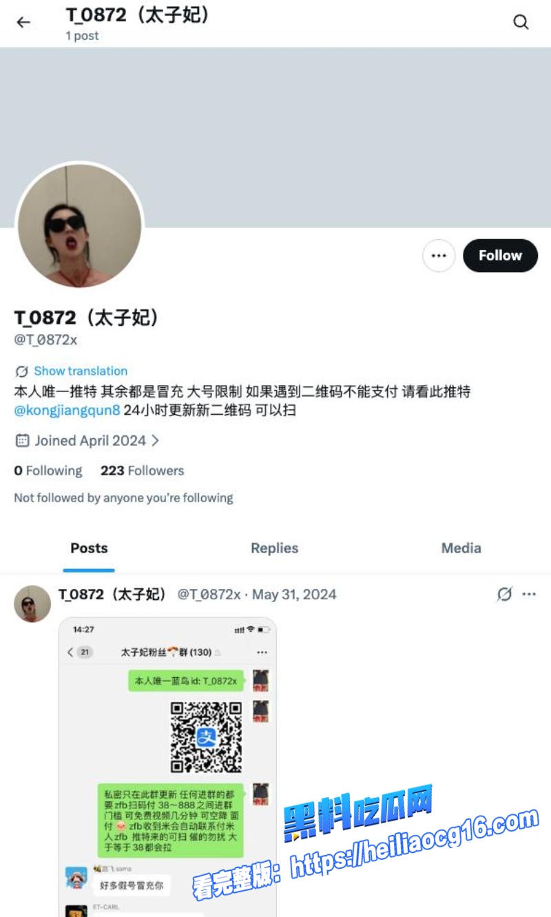 极品车模网黄太子妃0 极品车模网黄太子妃0