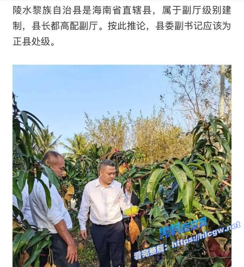 海南陵水县委副书记肖峰2