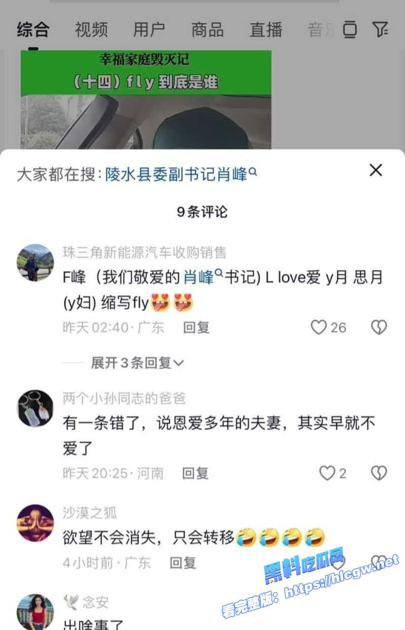 海南陵水县委副书记肖峰4