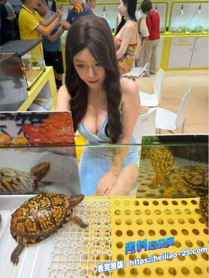 广东顺德 龟展 惊变骚鸡派对 大量不知名网红穿着低胸装蹭龟展热度 大叔花大价钱犹如买龟一般带走小网红后续密视频曝光!1 广东顺德 龟展 惊变骚鸡派对 大量不知名网红穿着低胸装蹭龟展热度 大叔花大价钱犹如买龟一般带走小网红后续密视频曝光!1