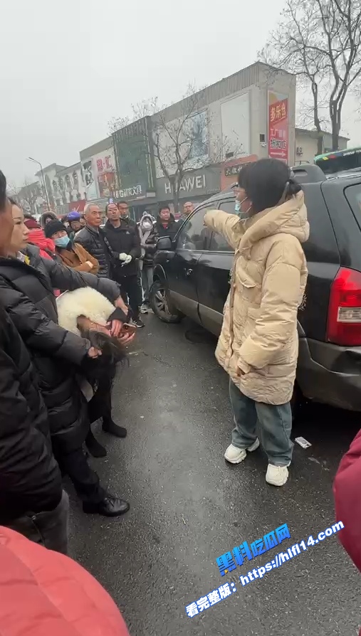 真实捉奸！河北定州 百隆购物商场门口 原配当街抓小三 据说小三只有16岁 好可怜！ 图5