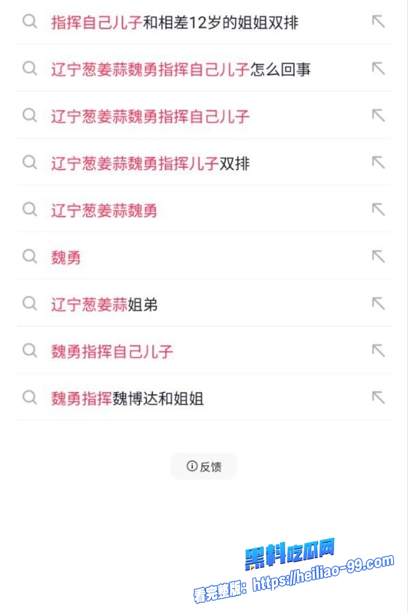 辽宁抖音网红魏勇2