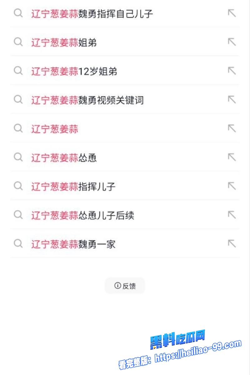 辽宁抖音网红魏勇3
