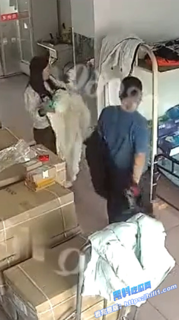 监控摄像头破解！午休老板和年轻漂亮女秘书 在仓库兼宿舍的双层床上激情做爱！1