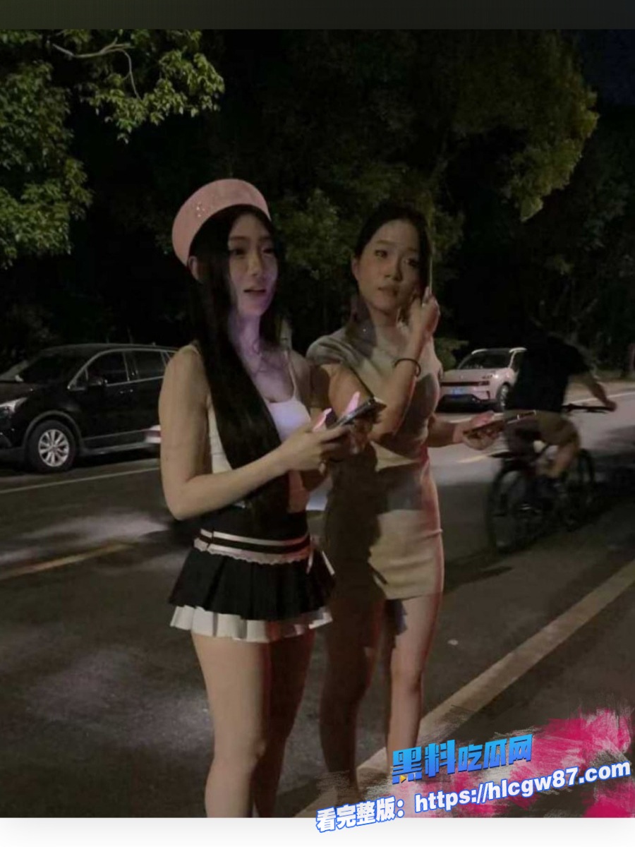 崔克车主的专属鸡 2