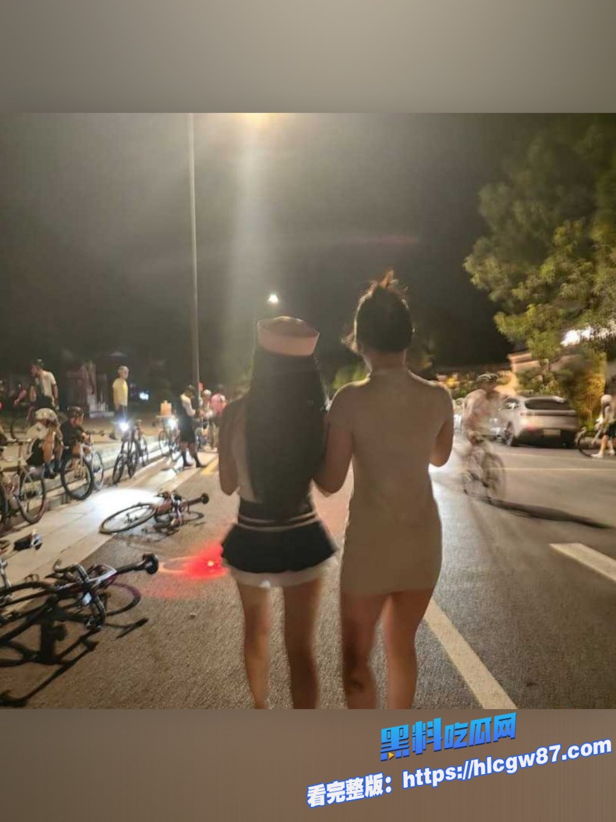 崔克车主的专属鸡 3