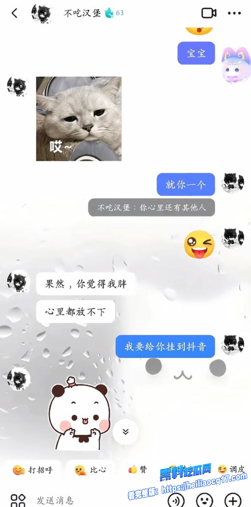 抖音网红不吃汉堡28
