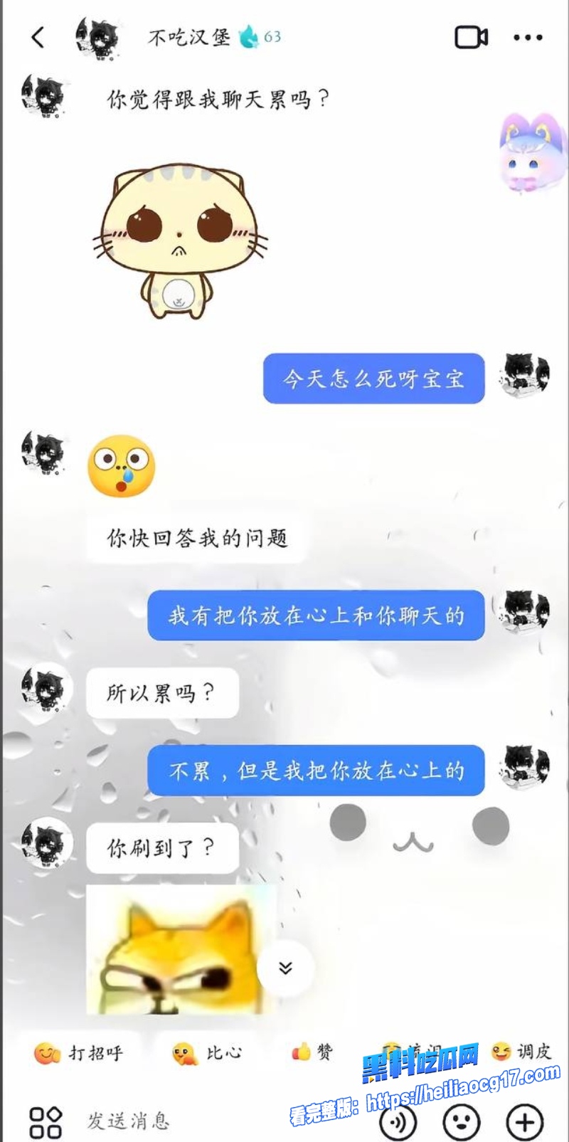 抖音网红不吃汉堡30