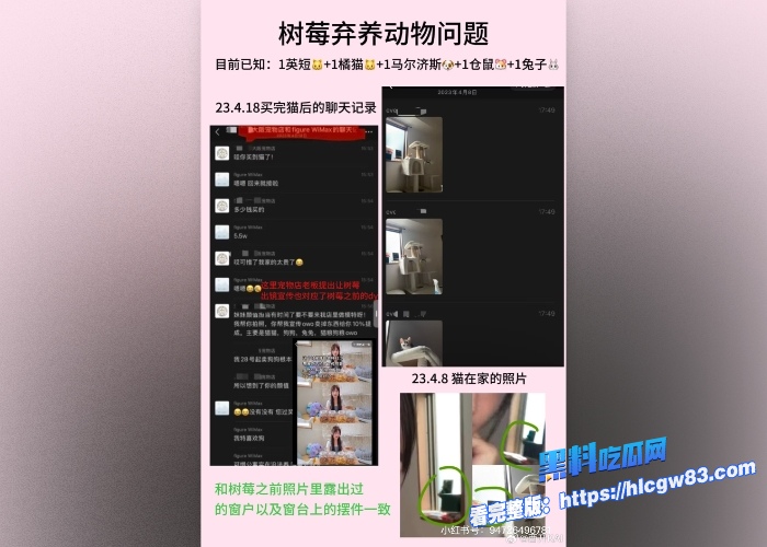 抖音400万粉网红树莓狠心弃养宠物肆意约炮出轨人设崩塌风波不断19岁辍学少女沦陷27岁无业废柴出轨记录与视频被曝光 图20 抖音400万粉网红树莓狠心弃养宠物肆意约炮出轨人设崩塌风波不断19岁辍学少女沦陷27岁无业废柴出轨记录与视频被曝光 图20