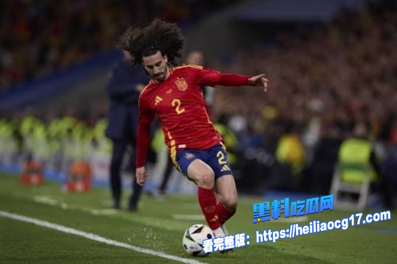 2026年美加墨世界杯6