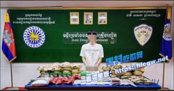 柬埔寨一年查获近15吨毒品
