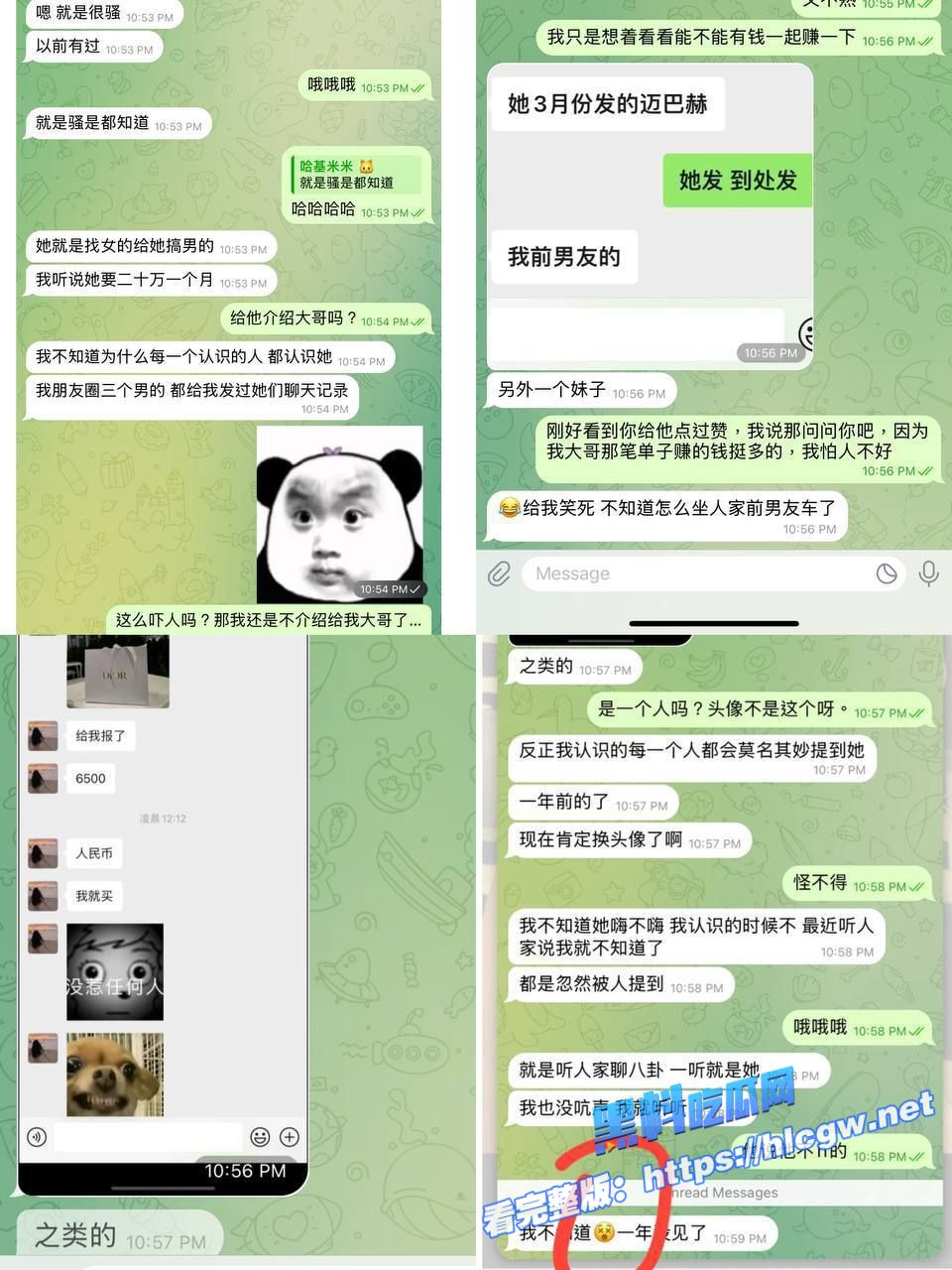 我被东南亚混圈女坑惨了
