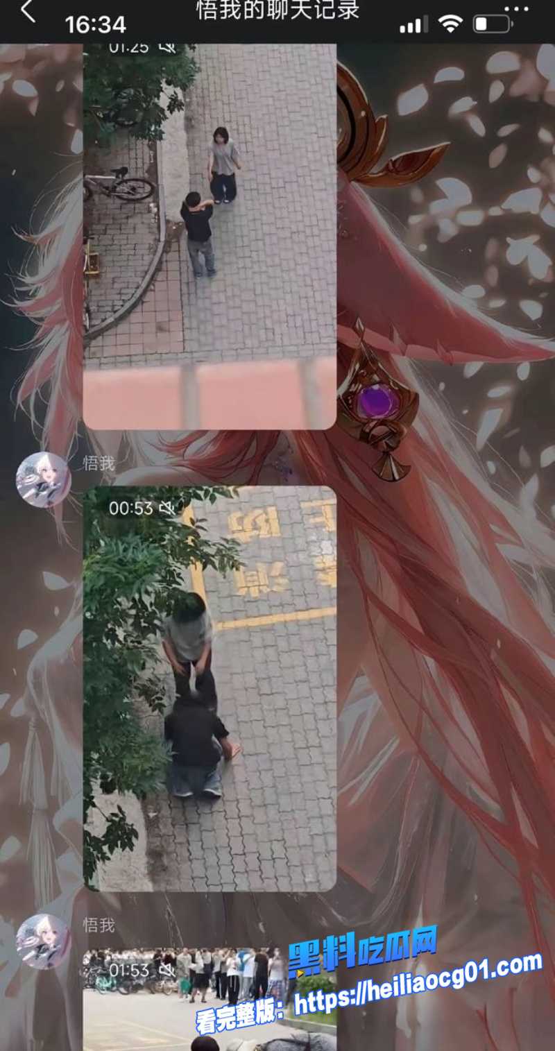 沧交学校大瓜5