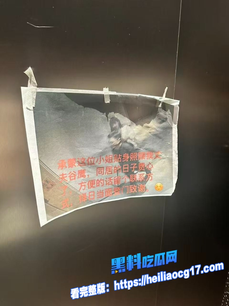 极氪汽车高管谷鹰0 极氪汽车高管谷鹰0