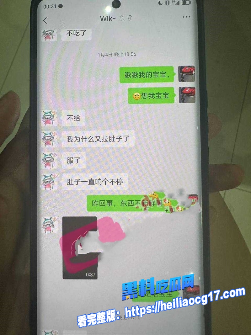 极氪汽车高管谷鹰6 极氪汽车高管谷鹰6