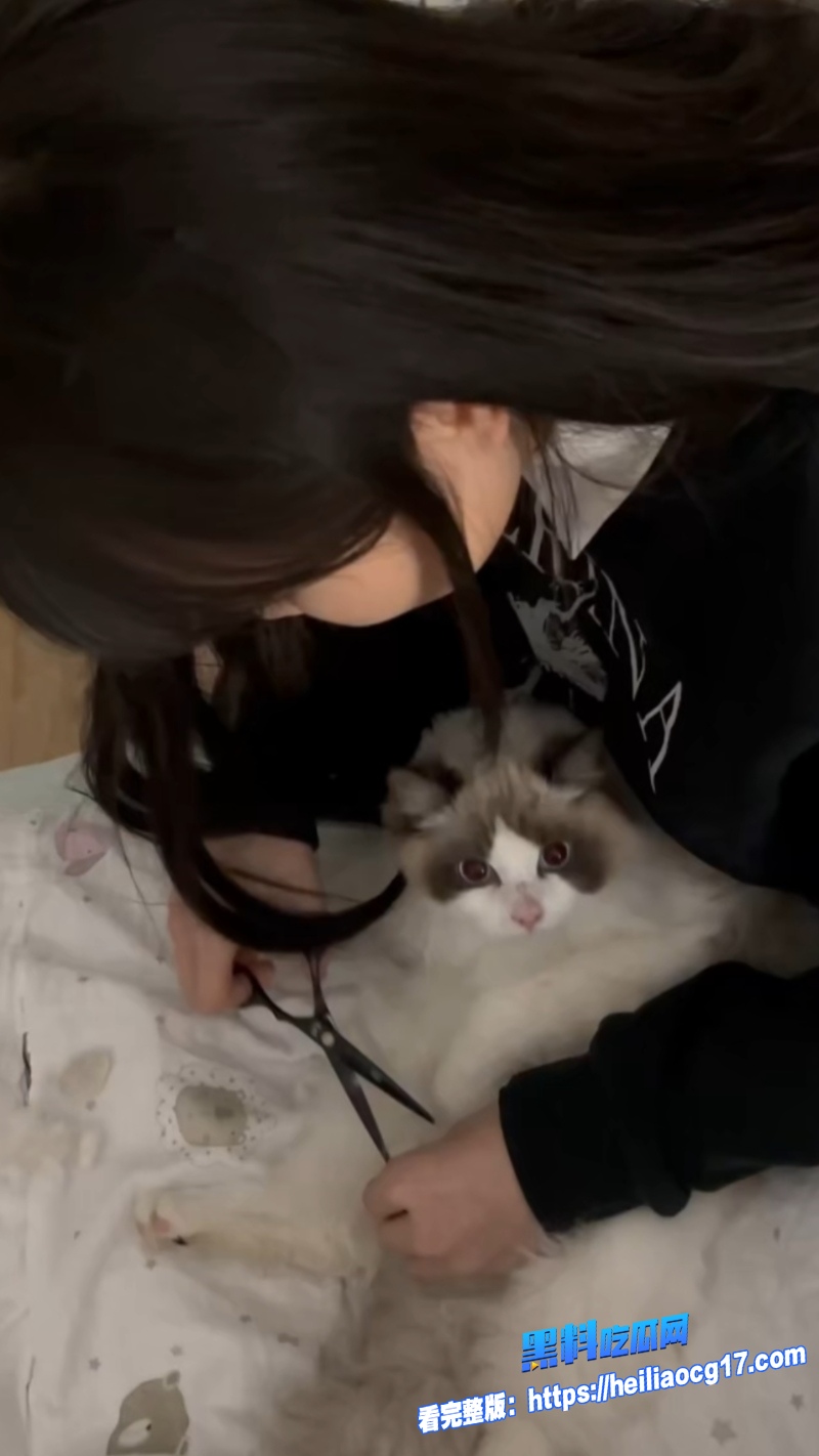 高颜值大学生4
