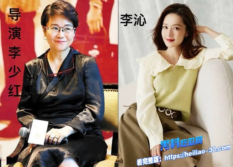 知名演员李沁被爆私生活混乱陪睡导演与杨洋邓伦雷军等人有染 多次堕胎每睡一次10万补偿震撼全网 35