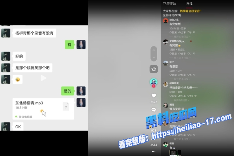 东北少妇杨柳青4分25秒完整录音视频流出真是笑不活了4