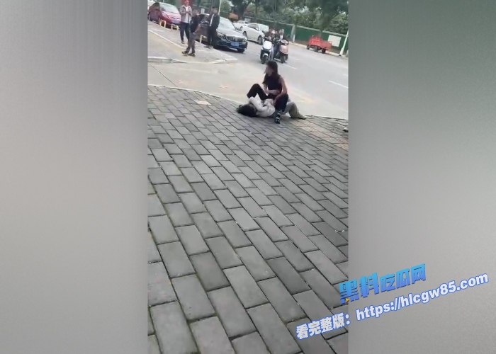 学生妹当小三被原配当街抓奸！ 8