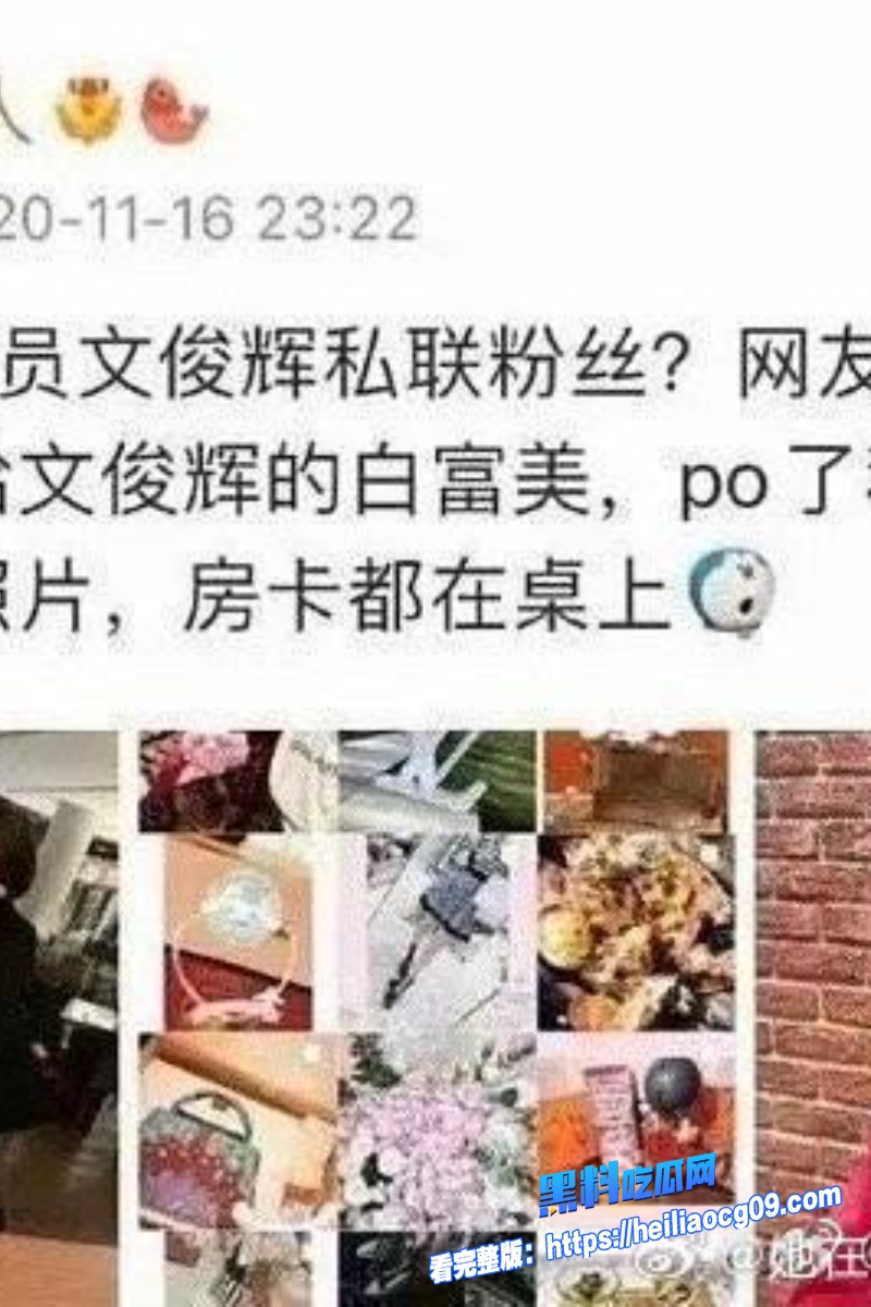 顶流明星文俊辉41 顶流明星文俊辉41