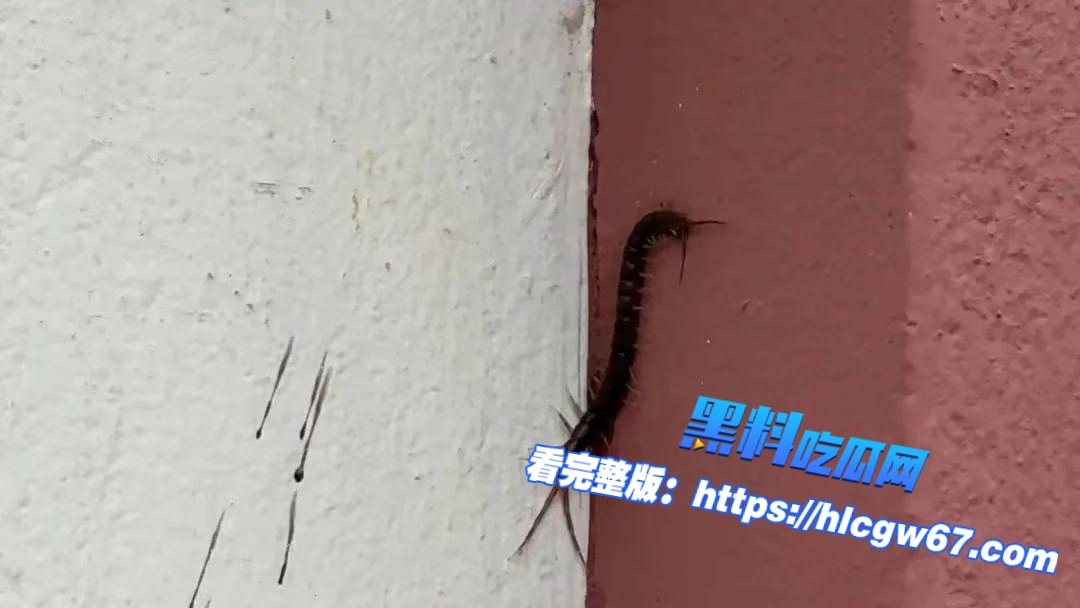 清迈成为热带风暴“卡吉基”重灾区之一,昨日骤雨让不少市民心有余悸。01 清迈成为热带风暴“卡吉基”重灾区之一,昨日骤雨让不少市民心有余悸。01