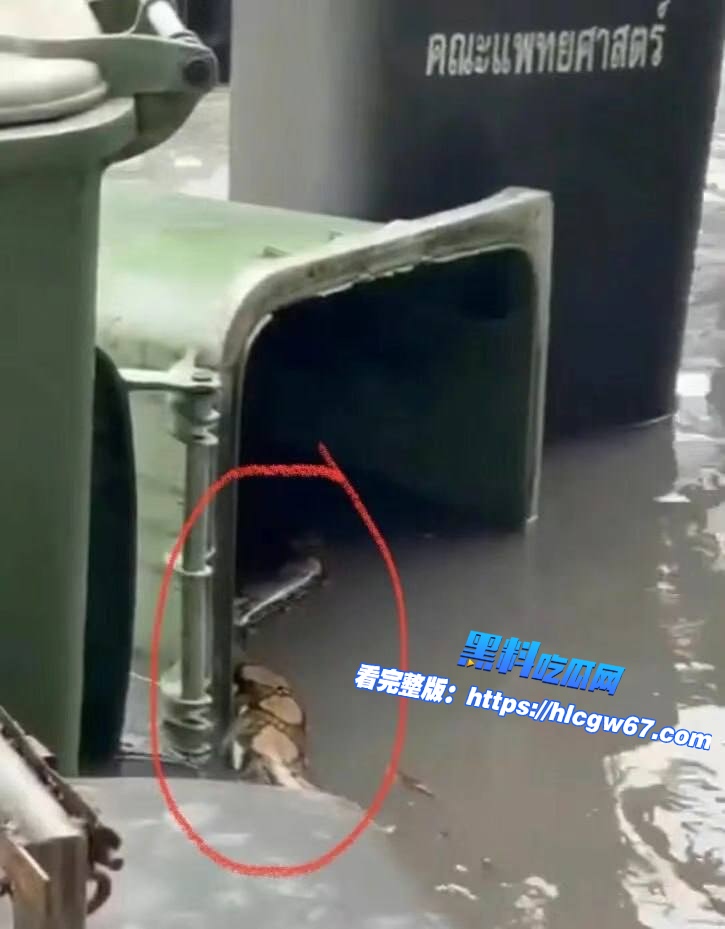 清迈成为热带风暴“卡吉基”重灾区之一,昨日骤雨让不少市民心有余悸。02 清迈成为热带风暴“卡吉基”重灾区之一,昨日骤雨让不少市民心有余悸。02
