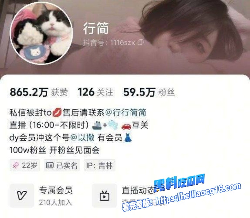 抖音网红行简3