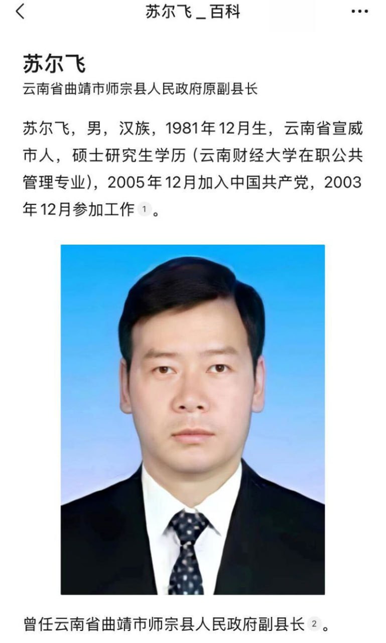 云南曲靖师宗县副县长苏尔飞出轨女下属致孕 9