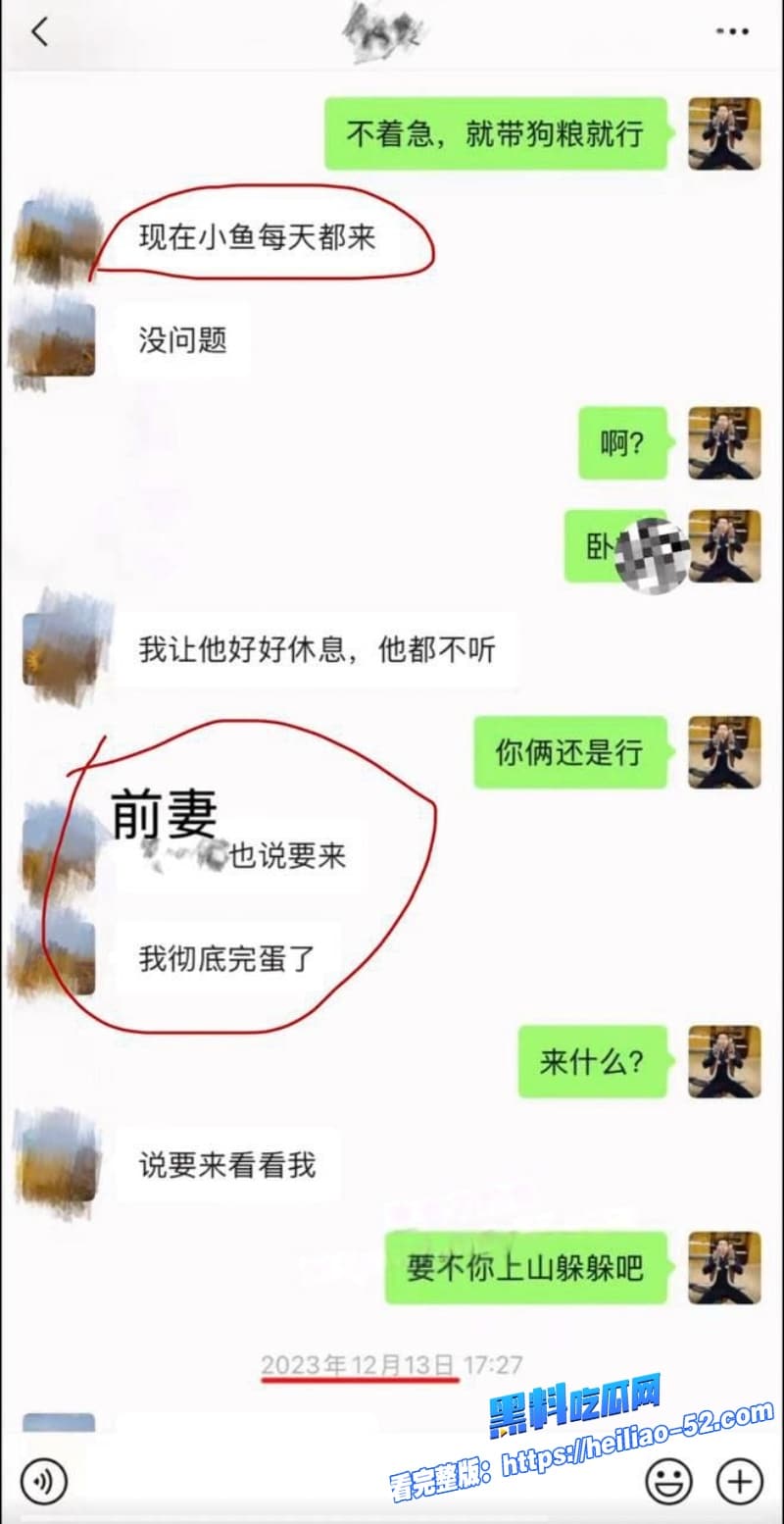抖音宠物网红骏良塌房实锤被曝婚内出轨家暴结果前妻联手合伙人明亮与狗玩阴谋真是大反转 10