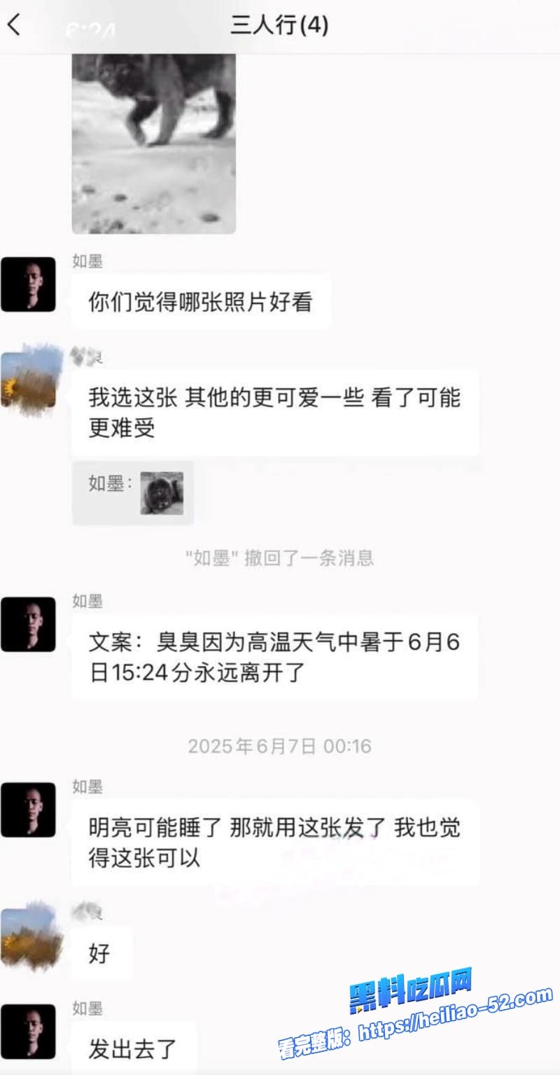 抖音宠物网红骏良塌房实锤被曝婚内出轨家暴结果前妻联手合伙人明亮与狗玩阴谋真是大反转 16