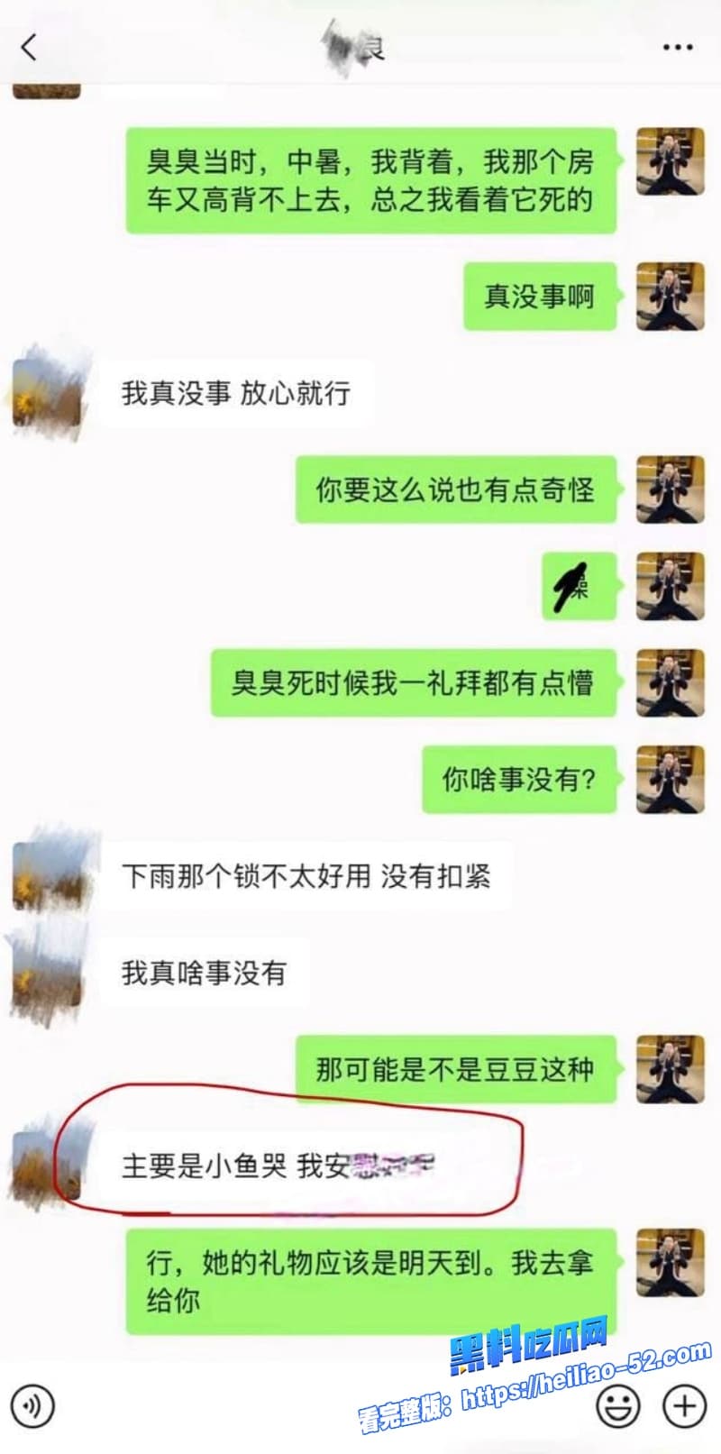抖音宠物网红骏良塌房实锤被曝婚内出轨家暴结果前妻联手合伙人明亮与狗玩阴谋真是大反转 19