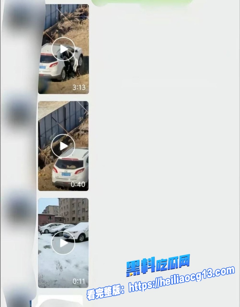 辽宁源吉老少恋1 辽宁源吉老少恋1
