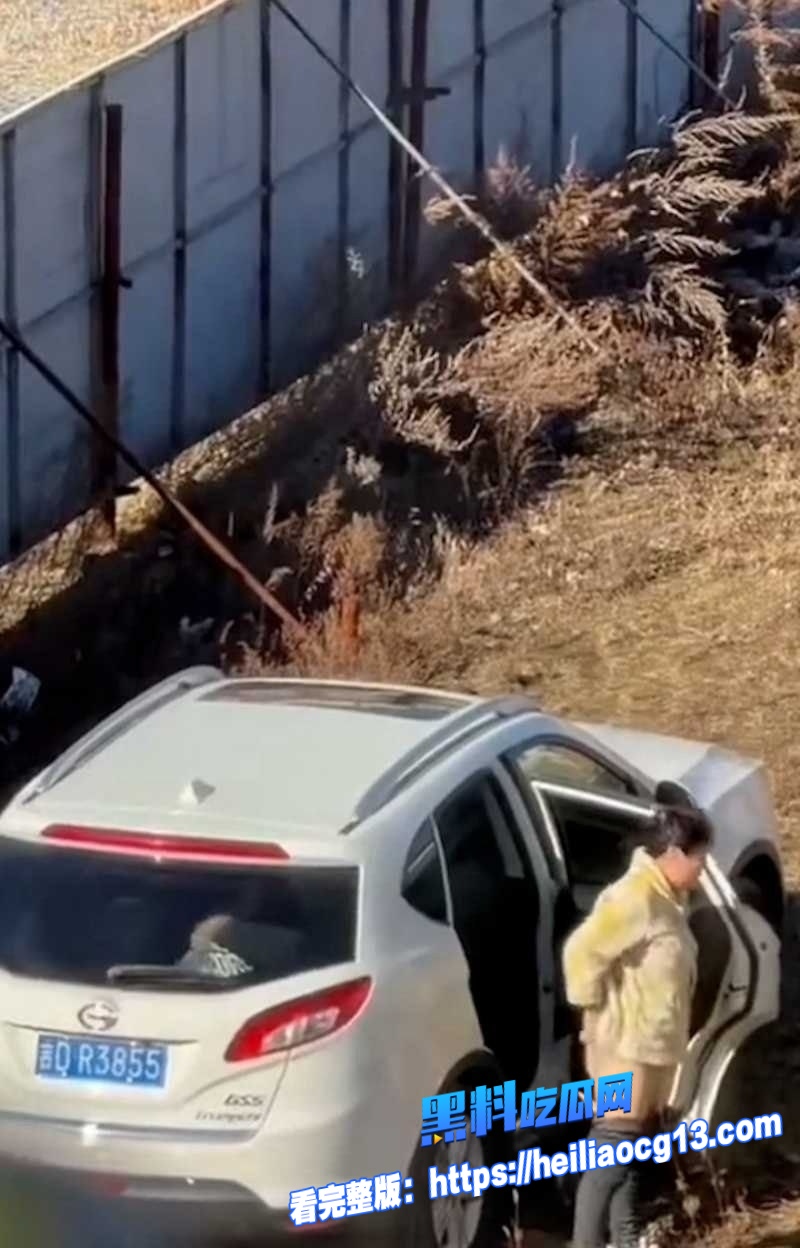 辽宁源吉老少恋2 辽宁源吉老少恋2