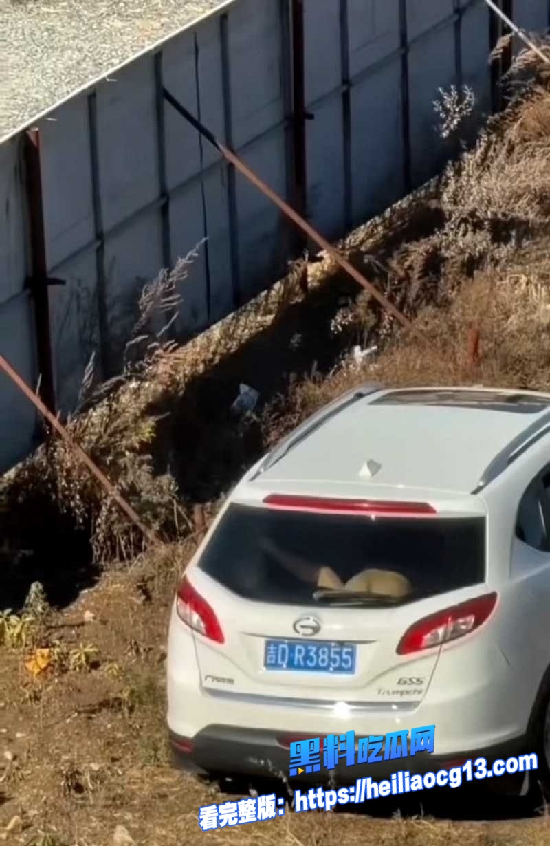 辽宁源吉老少恋3 辽宁源吉老少恋3