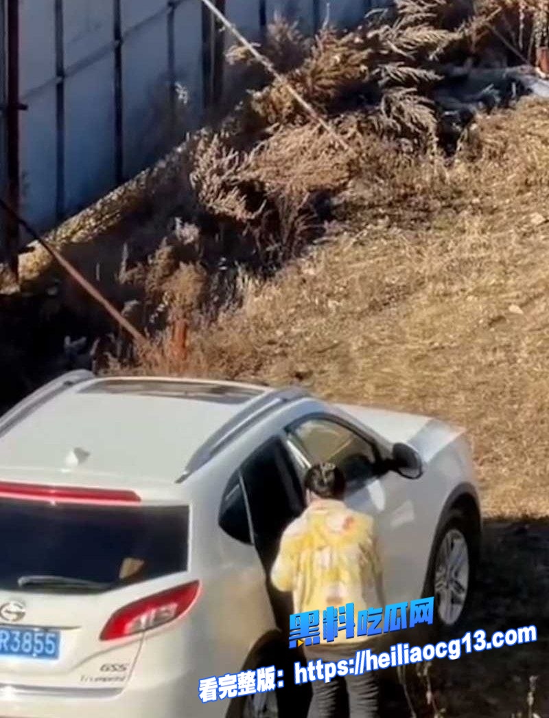 辽宁源吉老少恋4 辽宁源吉老少恋4