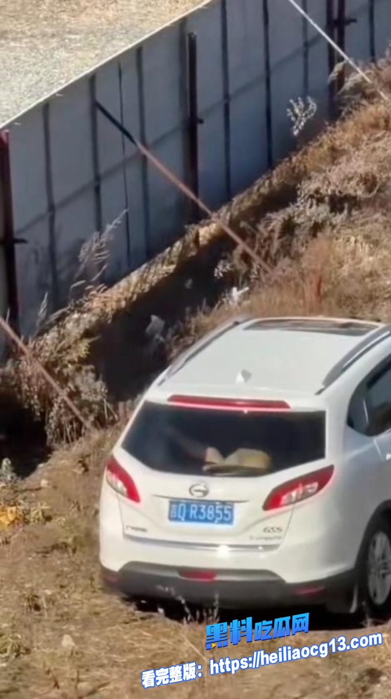 辽宁源吉老少恋5 辽宁源吉老少恋5