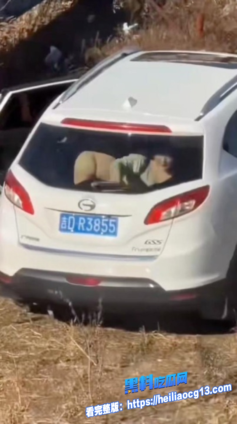 辽宁源吉老少恋7 辽宁源吉老少恋7