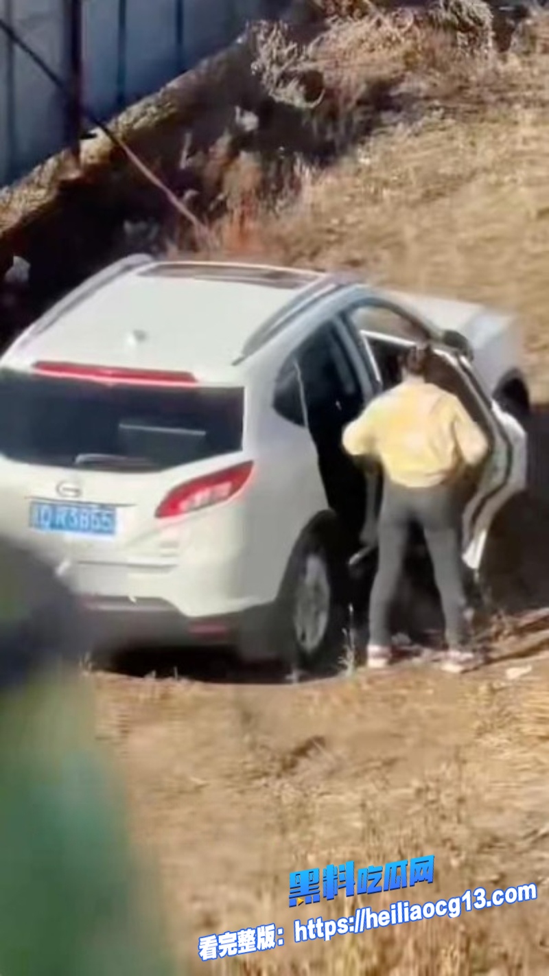 辽宁源吉老少恋8 辽宁源吉老少恋8