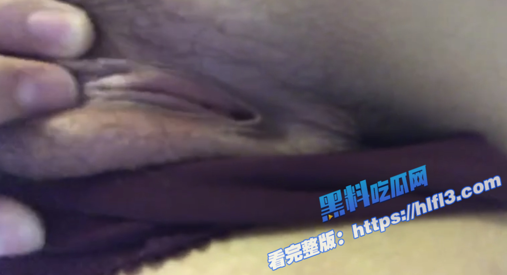 瓜友投稿 浙江杭州的网红前女友小慧性欲强 爱好角色扮演5