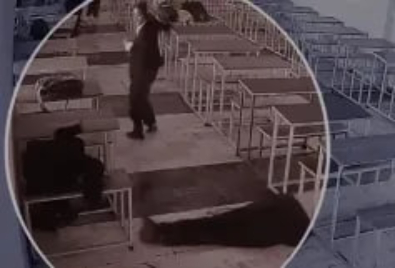 印度大一男生求婚遭拒将女生枪杀5