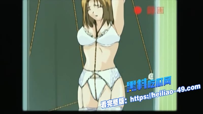 夜班病房Karte2诱惑护士深夜无码爆操温柔护士二次元美乳高潮喷水 3