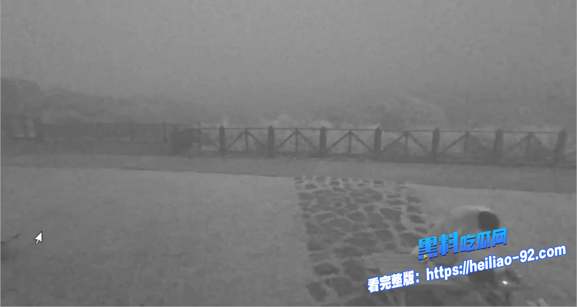 擎天岗公园做爱1