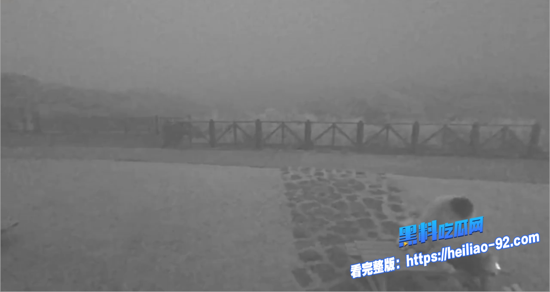 擎天岗公园做爱2