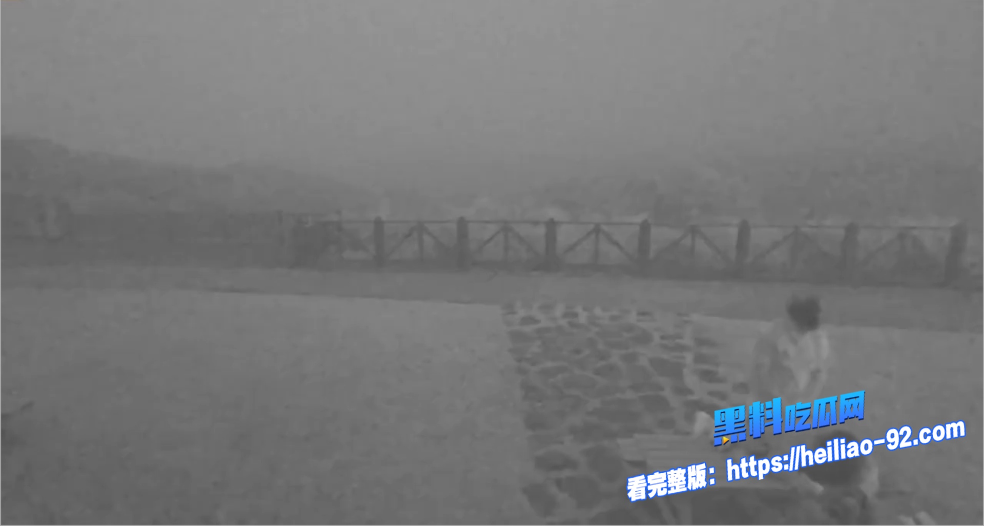擎天岗公园做爱3