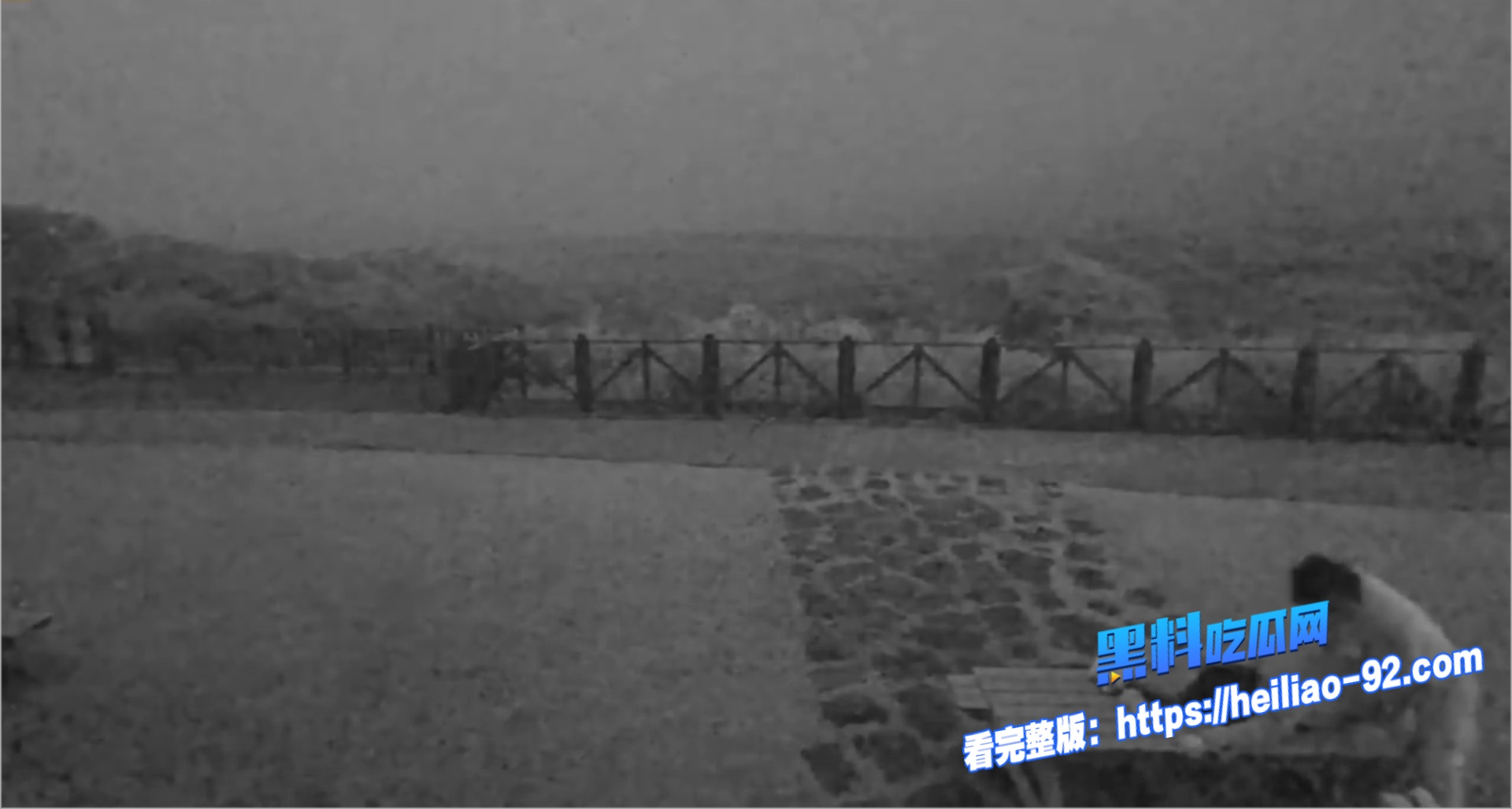 擎天岗公园做爱5