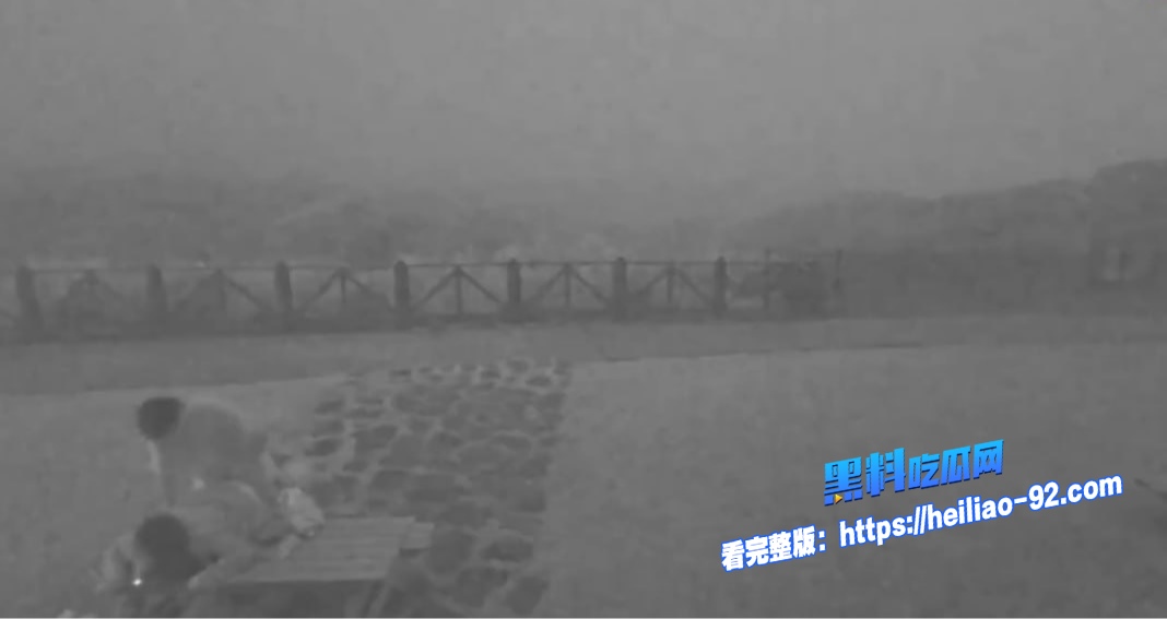 擎天岗公园做爱8